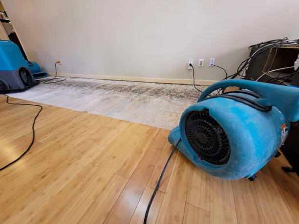 Professional Basement Flood Cleanup technician working in Hammond, WI